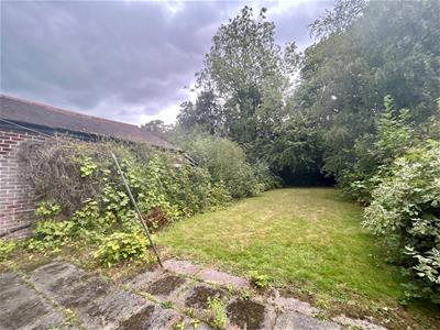Picture 15